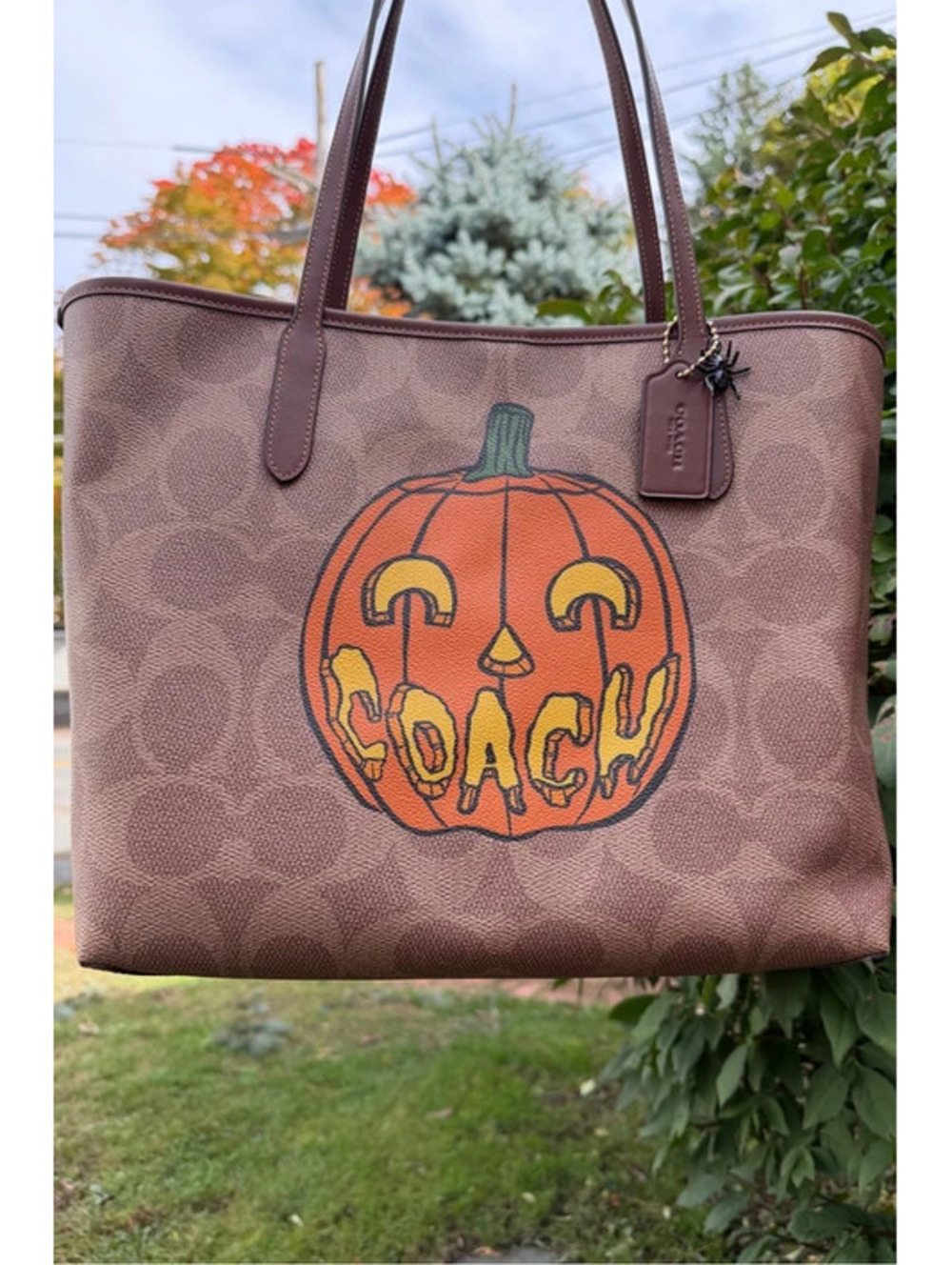 Coach Halloween Pumpkin City Tote Signature Canvas Spider Charm NWT CCE70
